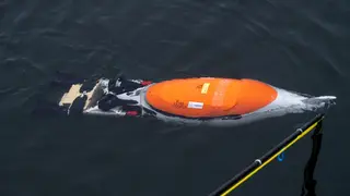 Der Prototyp einer Unterwasserdrohne in Pinguin-Form schwimmt im Hafen von Stralsund