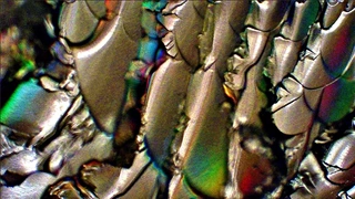 Display-Fehlerbilder_Wammes_03.jpg