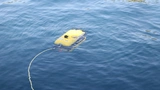 SeaClear-Roboter