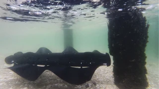 Pliant Energy Velox unter Wasser