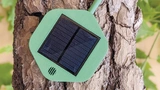 Dryad/Avnet Silica