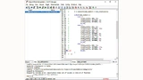 Dynamische Codeanalyse im Multi-Debugger: Der gefundene Laufzeitfehler, bei dem ein Case/Switch-Index außerhalb der Grenzen liegt, wird deutlich anzeigt und erklärt