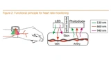 Messung der Herzfrequenz via LED