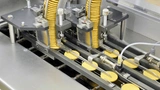 Für die Klassifizierung komplex zu unterscheidender Objekte bietet sich die Vision Cam AI.go an.