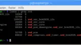 Kernel-Module