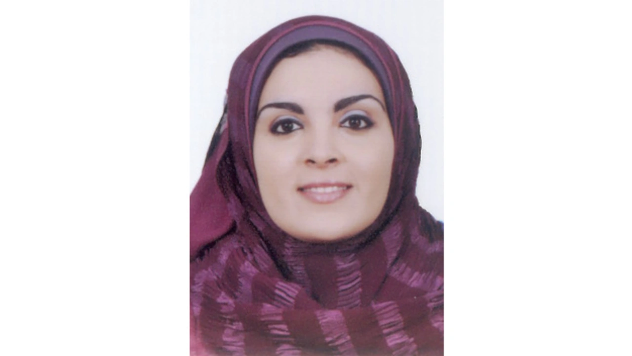 Dina Medhat, Siemens Dina Medhat, Siemens