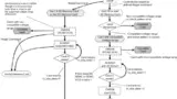 Physical Layer Simplified Specification Version 9.00