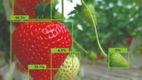 Organifarms