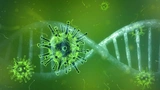 Pfizer Gain of Function Leak Project Veritas COVID19 Virus Mutation