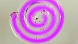 Leibniz Lebende Materialien Medizintechnik Forschung Mikroorganismen
