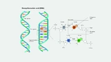 Cosel Power Stromversorgung Netzteile Medizintechnik Medizinelektronik PCR-Test Diagnose