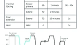 Cosel Power Stromversorgung Netzteile Medizintechnik Medizinelektronik PCR-Test Diagnose