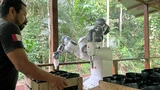 Dank des Yumi können sich die Ranger wichtigeren Aufgaben zuwenden.