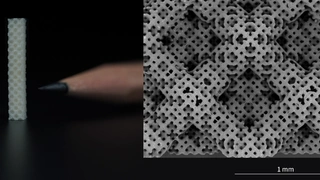 Bioprinting 3d-DRuck Organ-on-Chip Krebs