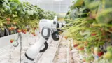 Organifarms