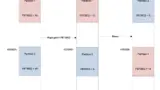 Dual-Partition-Modus 