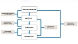 Model-Based Design ermöglicht die durchgängige Sicherstellung der Einhaltung von Standards durch qualifizierte Tools, Methoden und Tests als organischem und oft automatisierbarem Bestandteil des Workflows