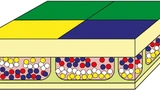 Beck Elektronik Spectra6