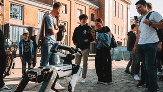 VDE