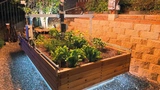 Farmbot