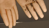 PFAS Medizintechnik Substitution Ersatz Kunststoffe Chemische Eigenschaften