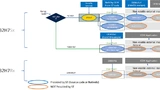 Abbildung 2: Die STM32H7R/S-MCUs bieten mehrere Boot-Pfade, die die Entwicklung vereinfachen.