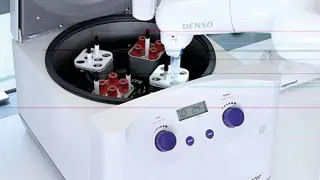denso automatica