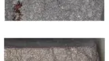 Würth Elektronik eiSos