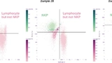 Bild 2. Grafische Darstellung der Unsicherheit auf Ereignisebene in Gating Plots für ausgewählte Testdatenproben unter Verwendung des Uncertainty Wrappers.