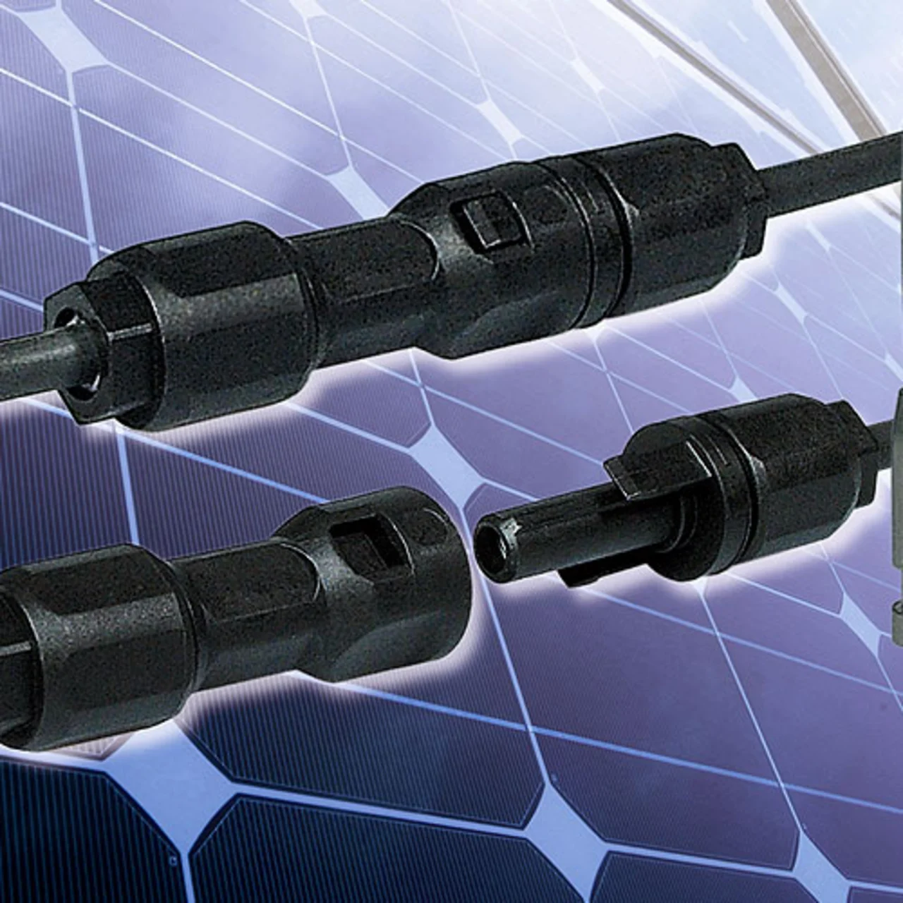 cp-PV-Bueschel_af_04.jpg cp-PV-Bueschel_af_04.jpg