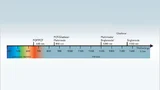 9100106_af.jpg