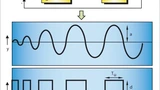 8180501_tm_02.jpg