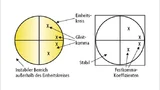 9230305_af.jpg