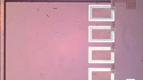 6170608b.jpg